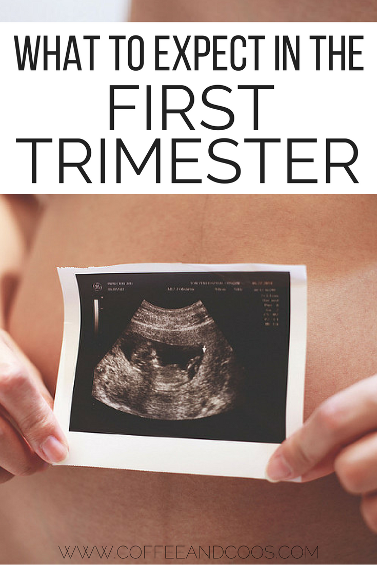 What to Expect in the First Trimester